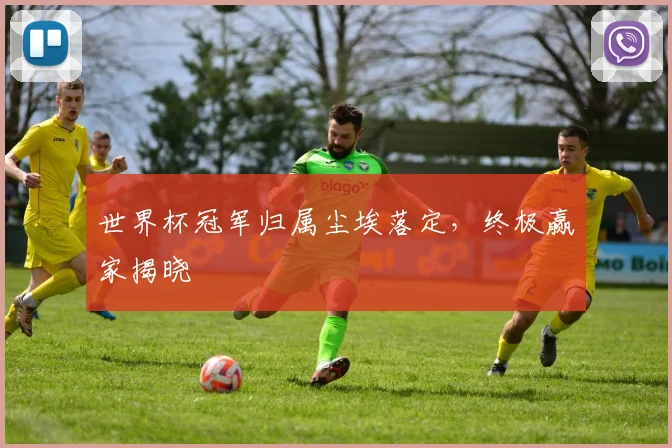 世界杯冠军归属尘埃落定,终极赢家揭晓