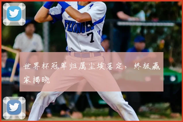 世界杯冠军归属尘埃落定,终极赢家揭晓