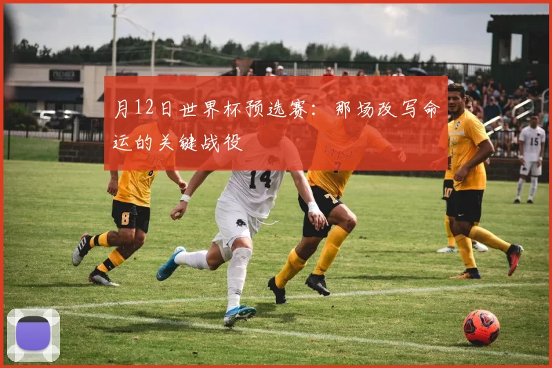 月12日世界杯预选赛：那场改写命运的关键战役